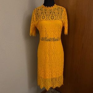 Lulus Remarkable Lace Dress